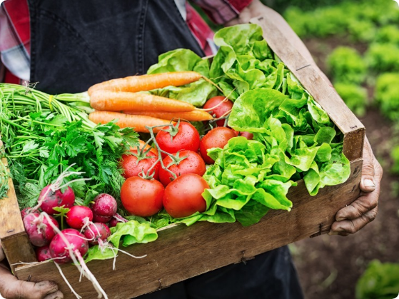 image de producteurs locaux