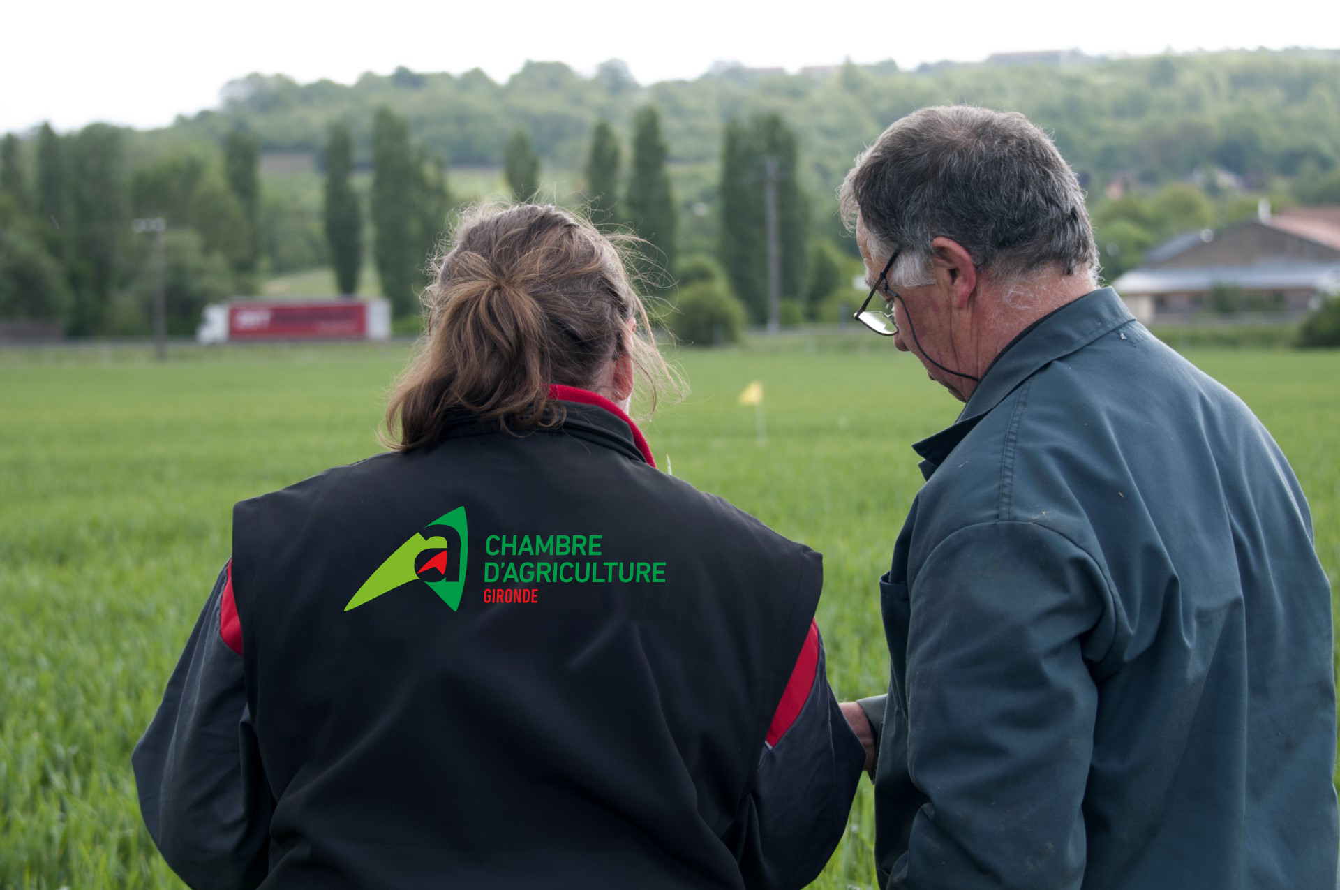 Champs coucher de soleil